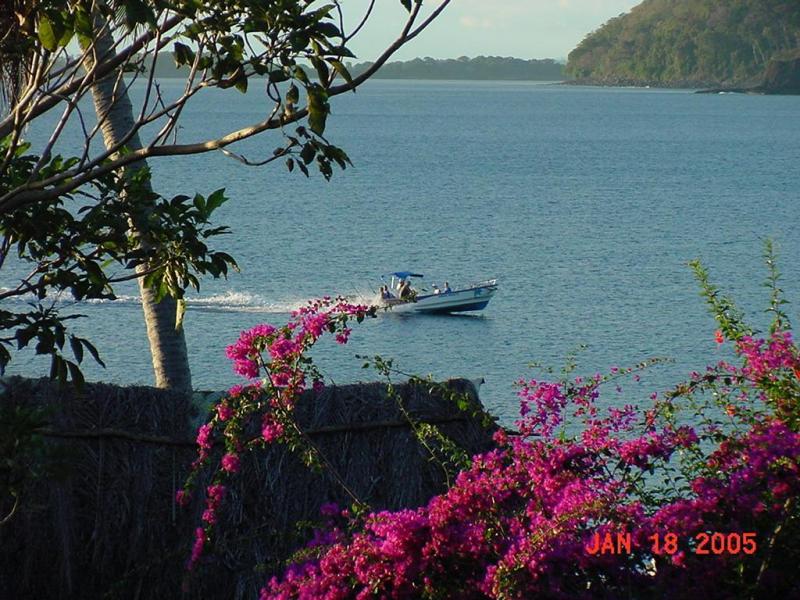 Boat returning to camp after a successful fishing trip.